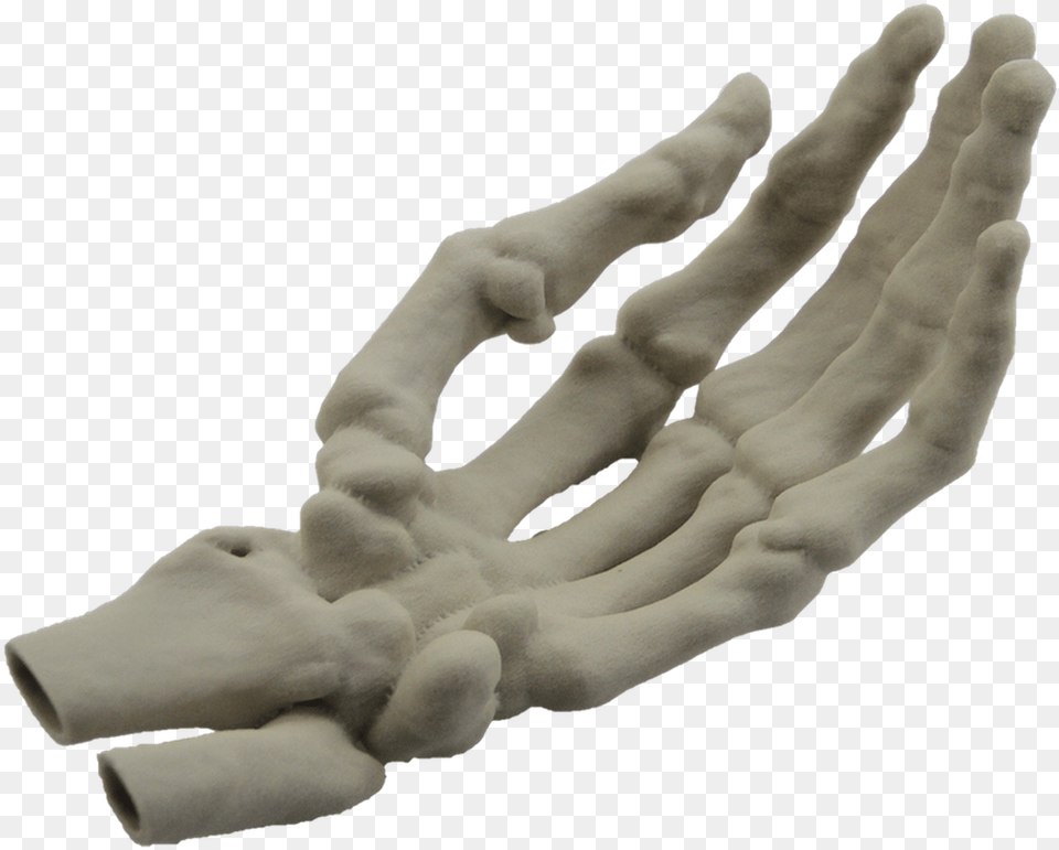 Hand Model Finger Human Skeleton 3d Printed Skeleton Hand, Clothing, Glove, Baby, Person Free Png Download
