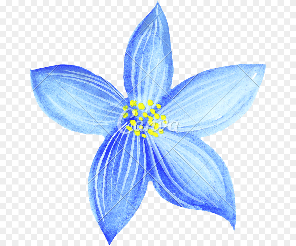 Hand Of Blue Flowers Blue Flower Drawing, Petal, Plant, Anemone, Daisy Free Png Download