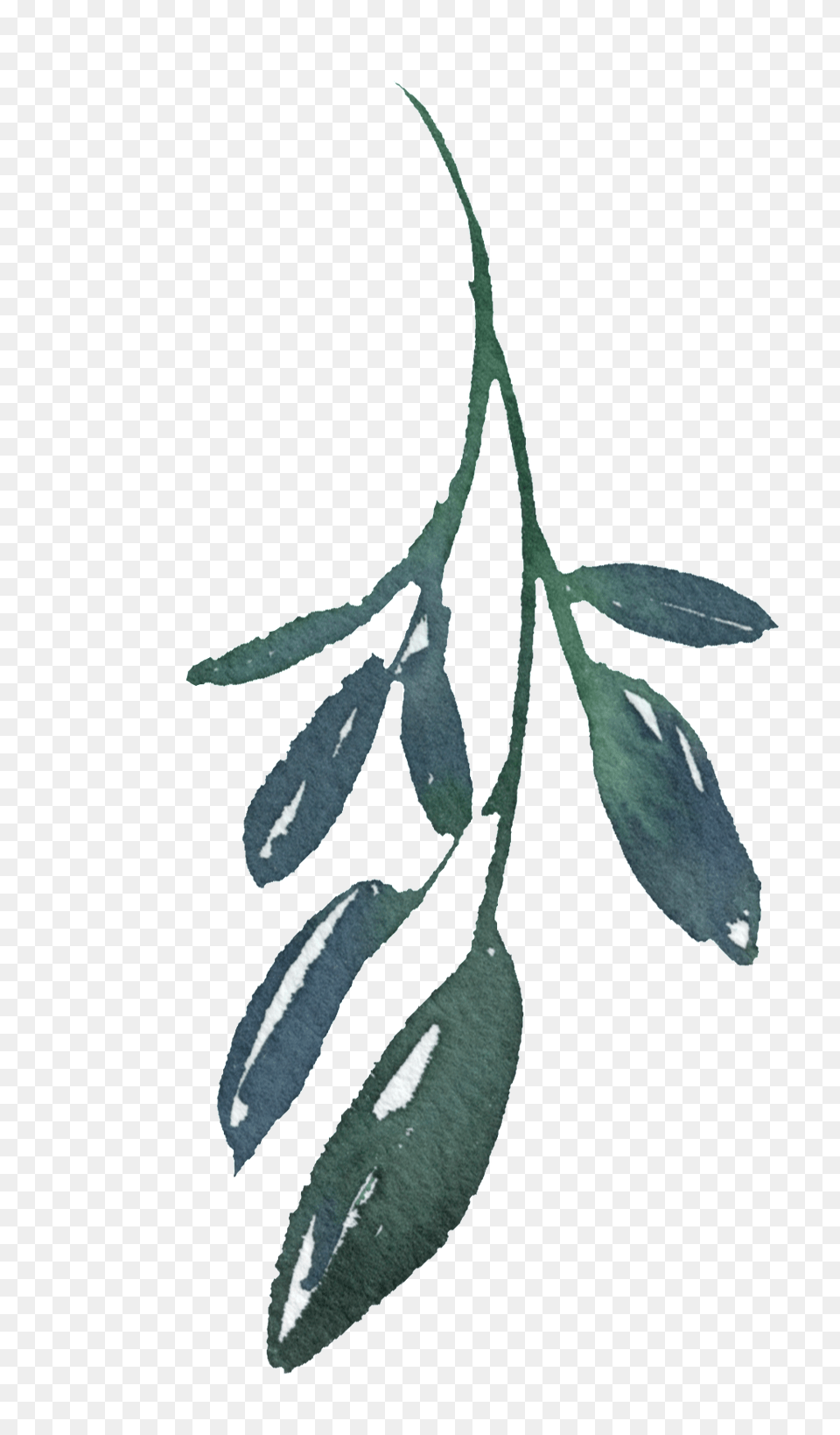 Hand Painted A Bamboo Leaf Download, Plant, Vegetation, Outdoors, Tree Free Transparent Png