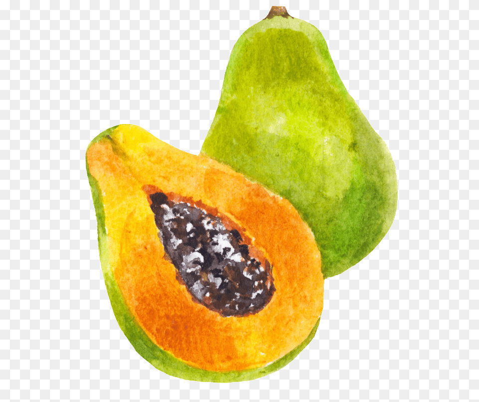 Hand Painted A Half Papaya Transparent Portable Network Graphics, Food, Fruit, Plant, Produce Png Image