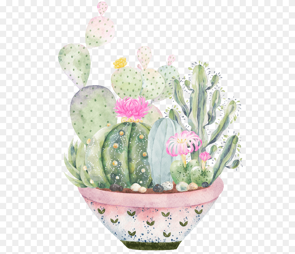 Hand Painted A Large Plate Of Plants Succulents Clipart, Plant, Potted Plant, Cactus, Flower Png