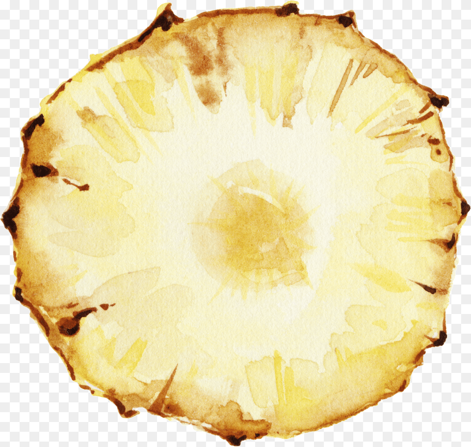 Hand Painted A Piece Of Pineapple Transparent Portable Network Graphics, Food, Fruit, Plant, Produce Png