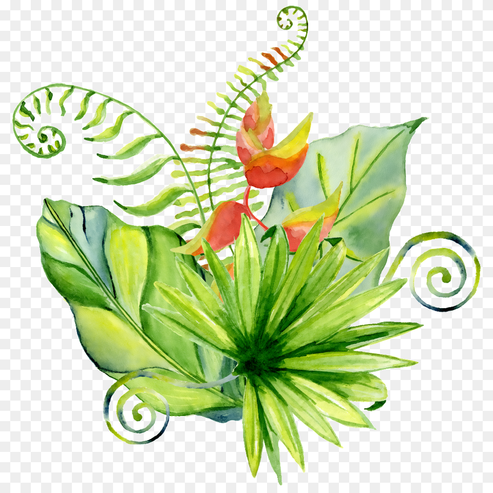 Hand Painted A Variety Of Different Leaves Art, Floral Design, Flower, Flower Arrangement Free Transparent Png