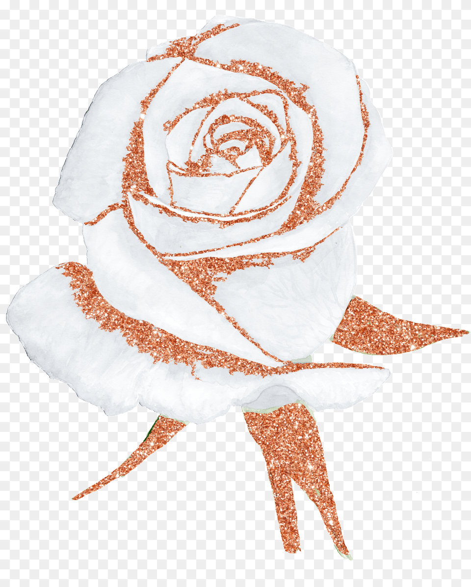 Hand Painted A White Rose Transparent Free Download Rose Gold Watercolor Flower, Plant, Pattern, Art Png
