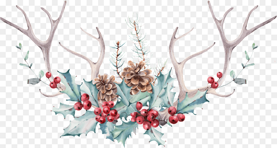 Hand Painted Antlers And Flowers Hd High Definition Christmas Images Clipart Watercolor, Antler, Plant, Pattern Png