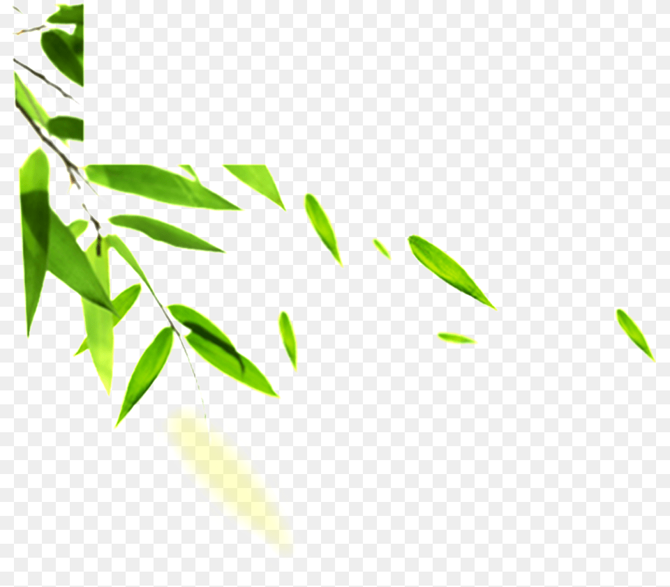 Hand Painted Bamboo Leaves Hd Efectos Viento, Herbs, Plant, Leaf, Green Free Transparent Png
