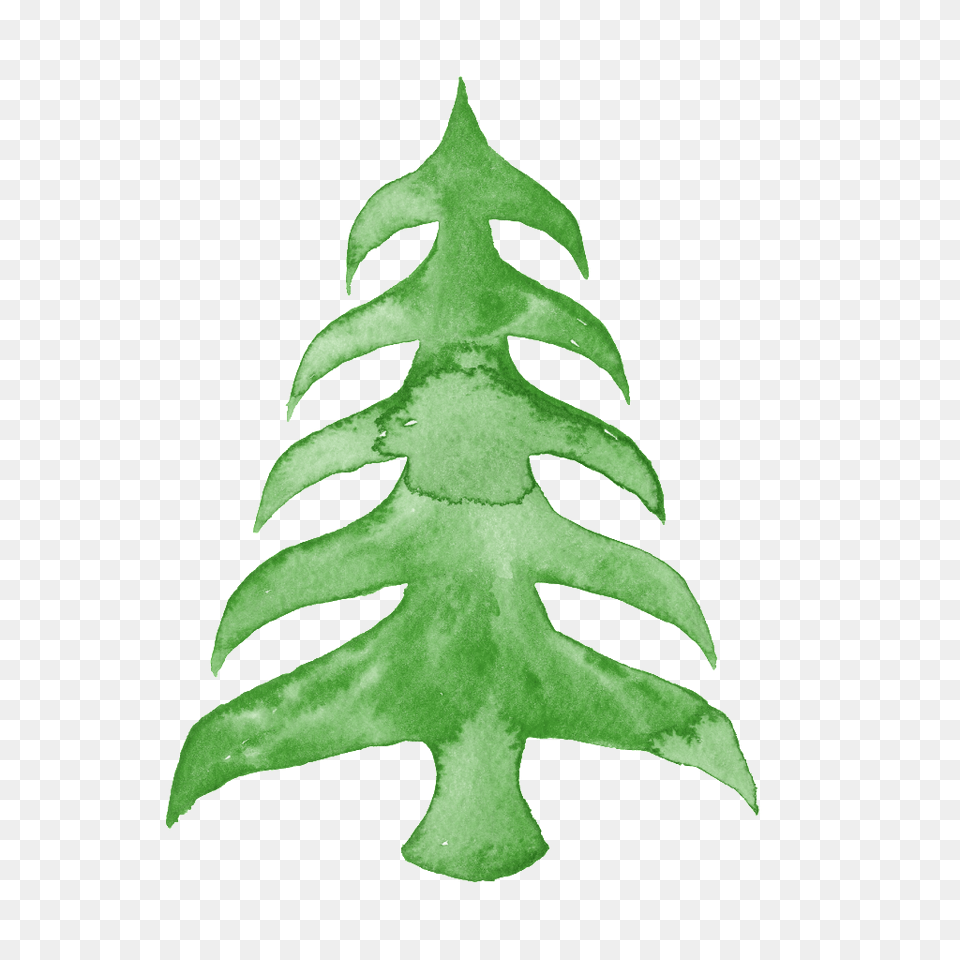 Hand Painted Beautiful Christmas Tree Transparent, Leaf, Plant, Fern Free Png Download