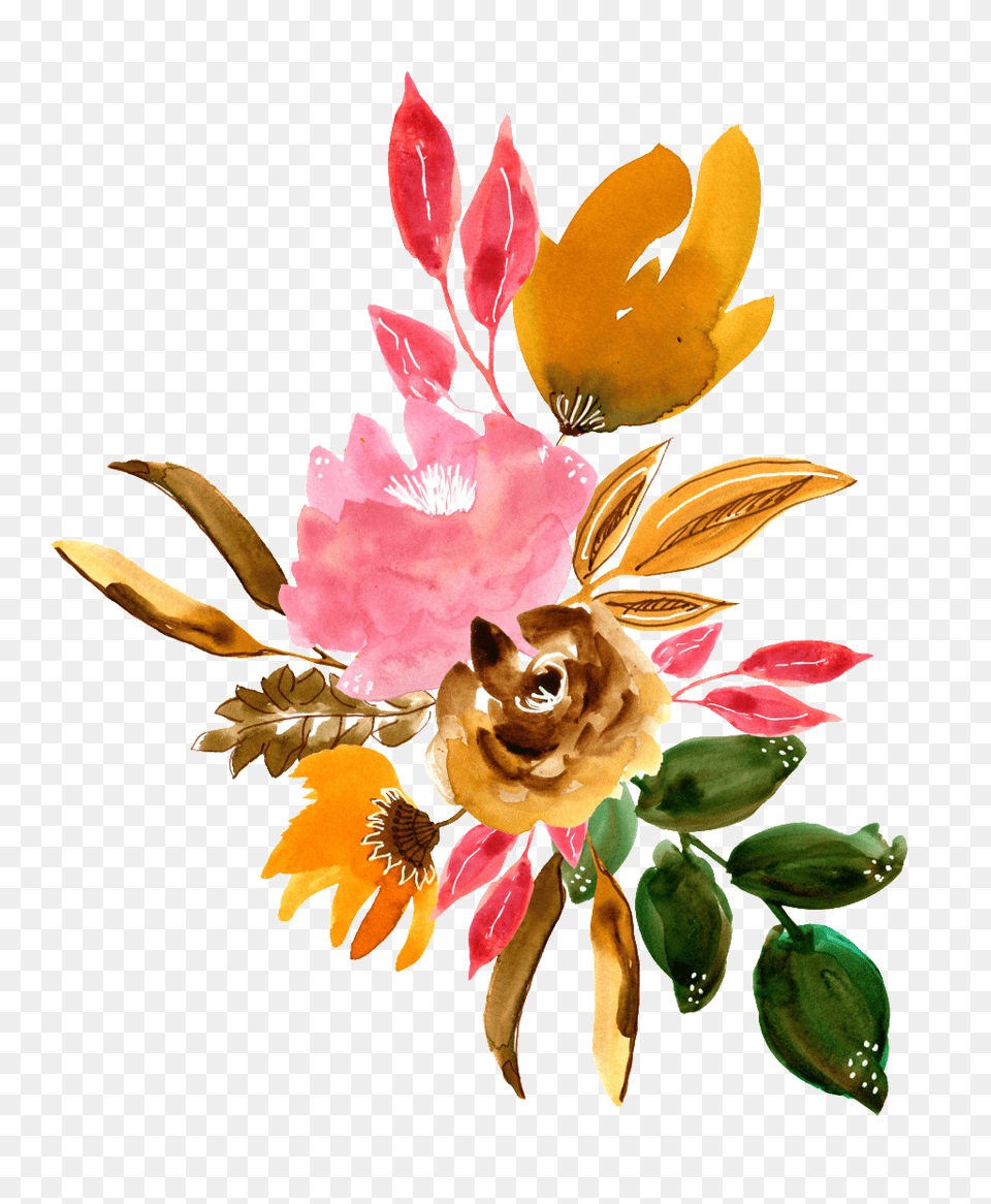 Hand Painted Beautiful Dried Flower Transparent Free, Art, Floral Design, Graphics, Pattern Png
