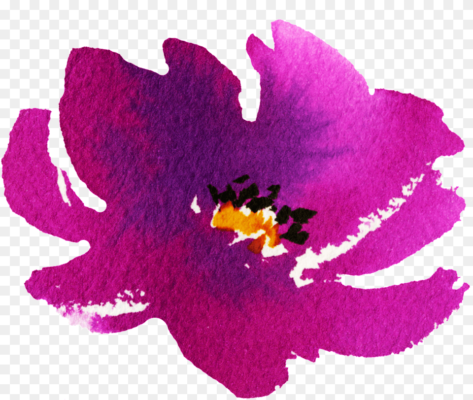 Hand Painted Blooming Flower Transparent Portable Network Graphics, Plant, Purple, Petal, Anther Free Png Download