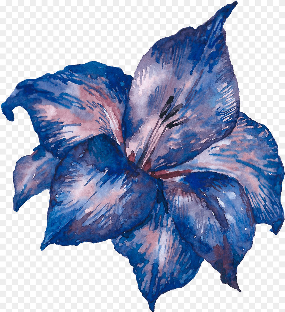 Hand Painted Blue Purple Flowers Transparent Chinese Hibiscus, Flower, Plant, Petal, Person Png Image