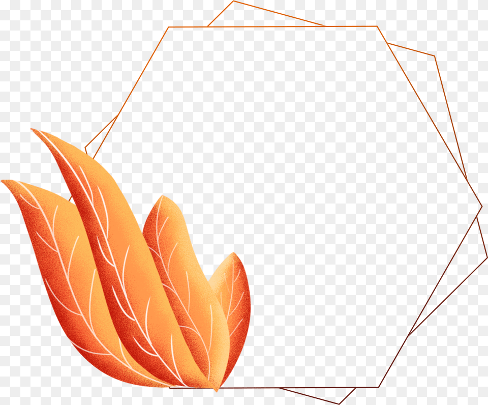 Hand Painted Border Plants Leaves Coral Orange Portable Network Graphics, Art, Leaf, Plant, Accessories Png