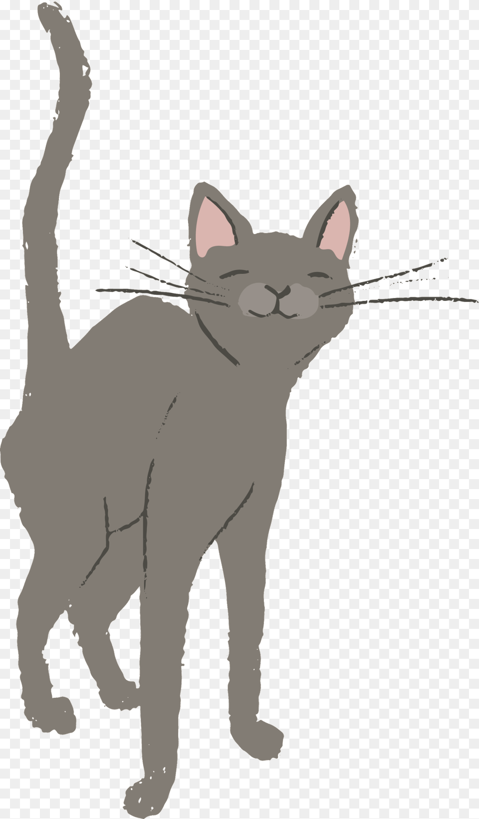 Hand Painted Brown Cat Transparent Cat Vector Free, Animal, Mammal, Pet, Baby Png Image