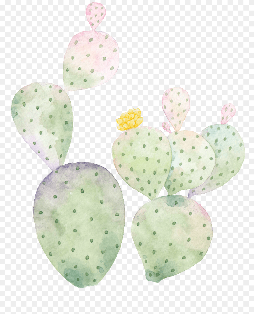 Hand Painted Cactus Transparent Barbary Fig, Flower, Petal, Plant, Leaf Png Image