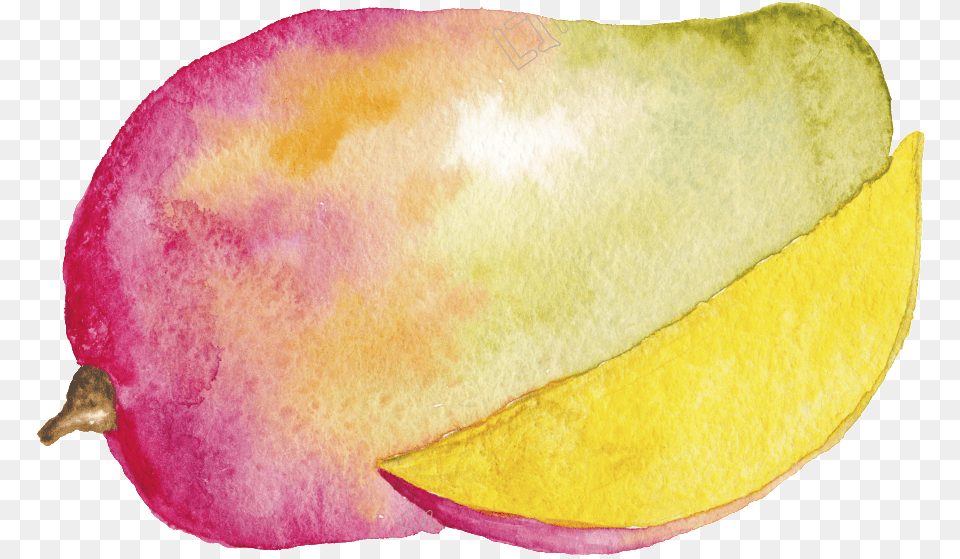 Hand Painted Cartoon Mango Watercolor, Flower, Petal, Plant, Leaf Free Transparent Png