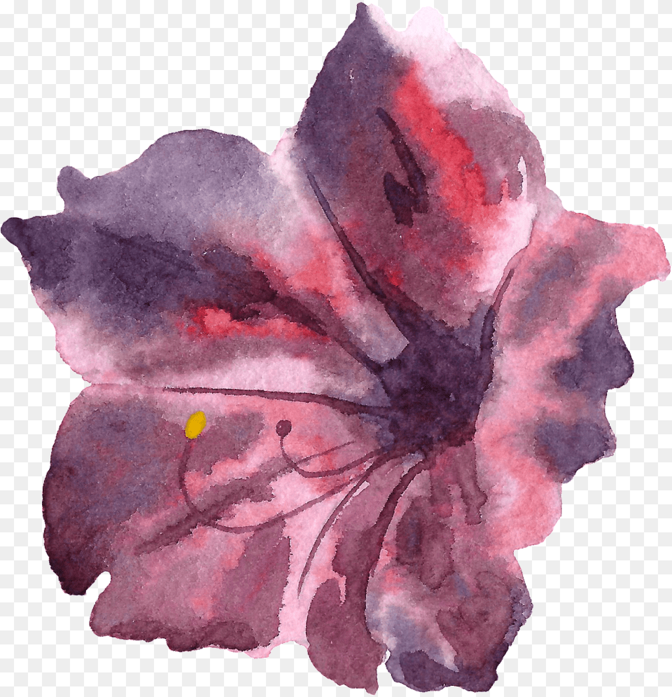Hand Painted Cinnabar Colored Flowers Portable Network Graphics, Flower, Petal, Plant, Geranium Free Png