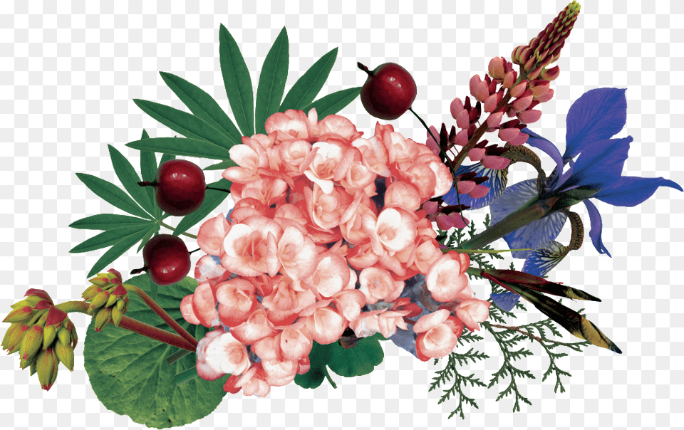 Hand Painted Colorful Flower Bouquet, Plant, Flower Arrangement, Flower Bouquet, Art Png