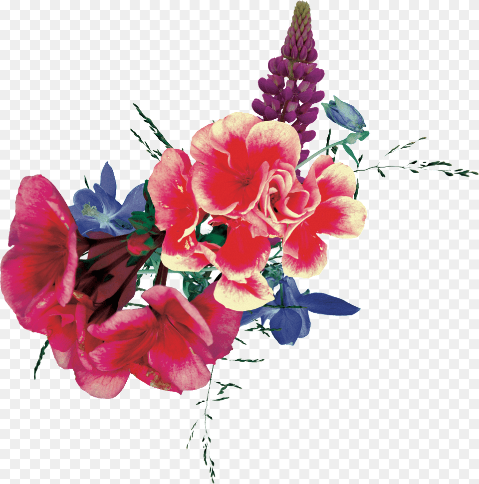 Hand Painted Colorful Flower Cluster Transparent Portable Network Graphics, Flower Arrangement, Plant, Flower Bouquet, Geranium Png
