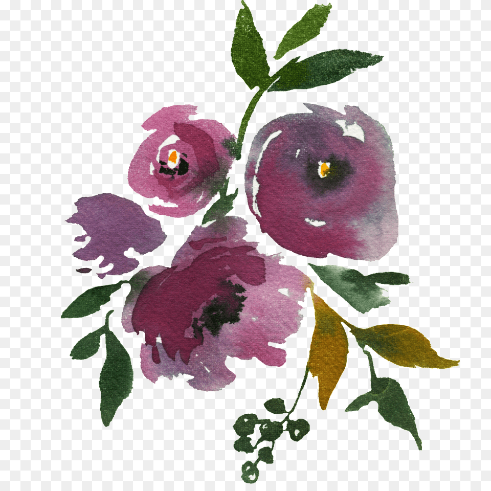 Hand Painted Dark Purple Flower Transparent Free, Food, Fruit, Plant, Produce Png Image