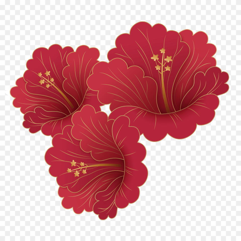 Hand Painted Delicate Magnolia Flower Hibiscus, Plant, Anther Free Transparent Png