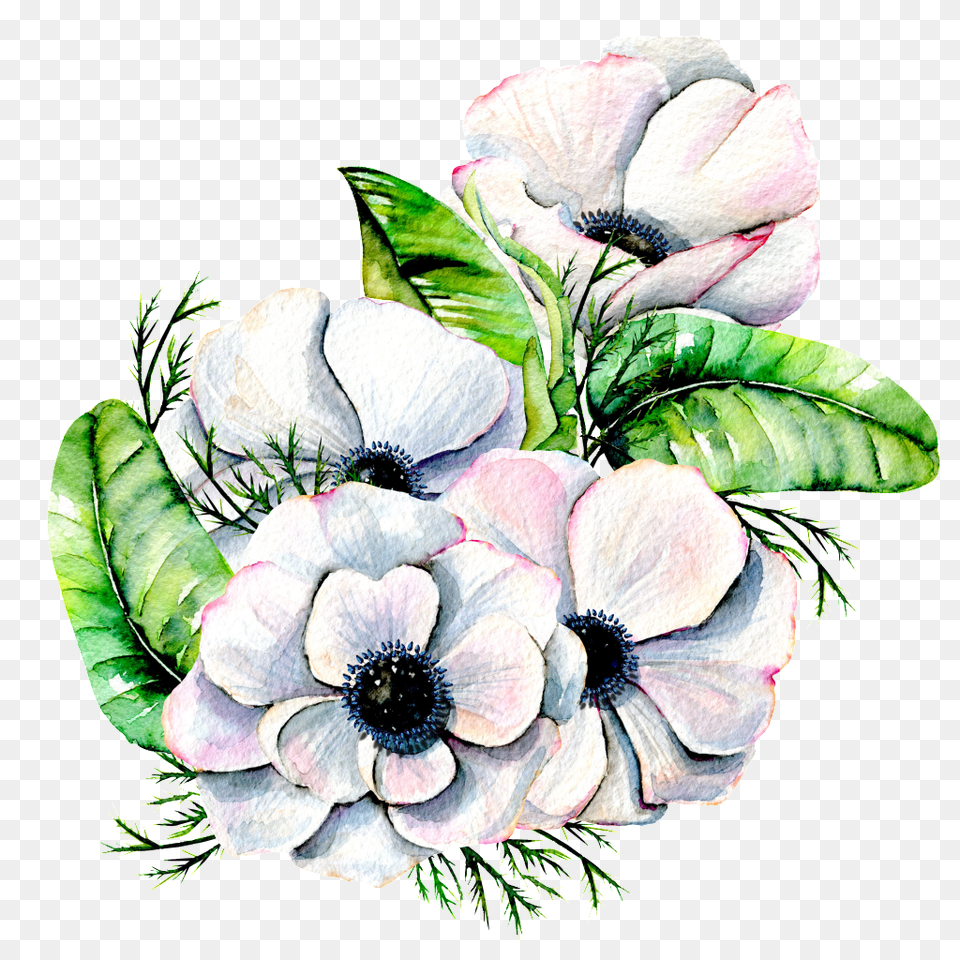 Hand Painted Elegant White Flower Transparent, Anemone, Art, Floral Design, Graphics Free Png