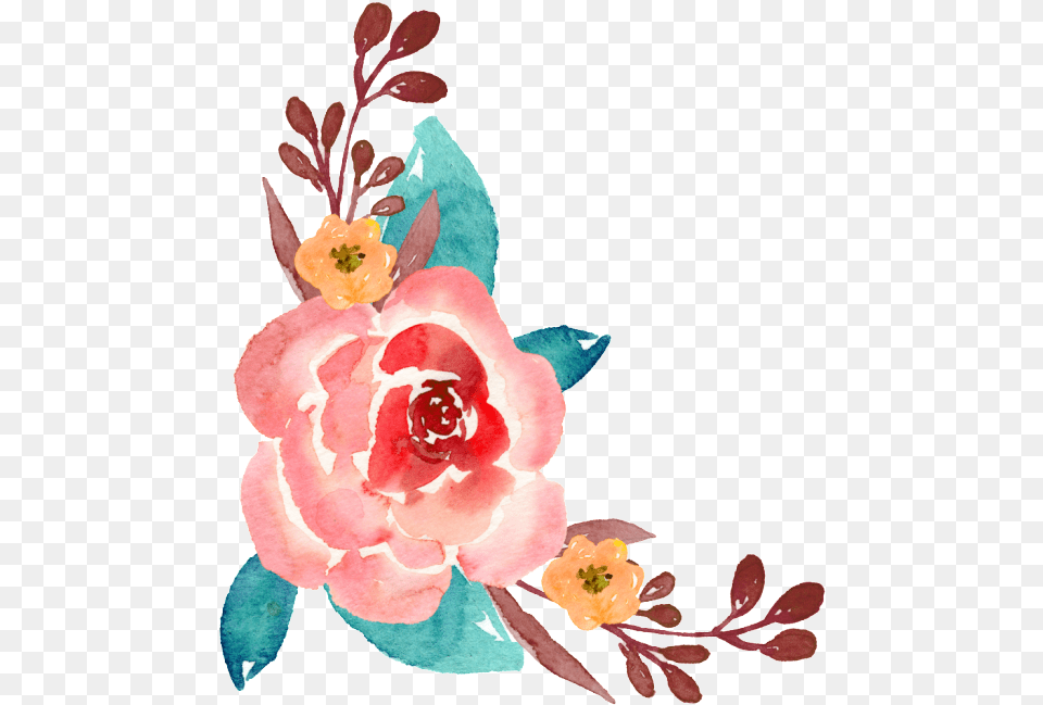 Hand Painted Flower Illustration Watercolor Painting Flower Painting Hd, Plant, Anther, Pattern, Graphics Free Transparent Png