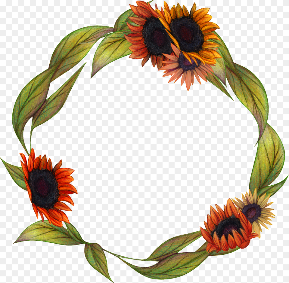 Hand Painted Flower Garland Transparent Plant, Sunflower, Art, Collage Free Png Download