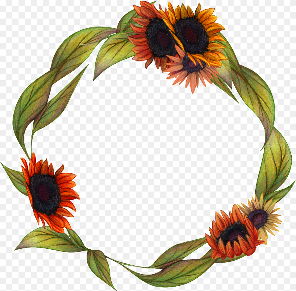 Hand Painted Flower Garland Transparent V Hoa Hng Transparent Sunflower Wreath, Plant, Accessories Png