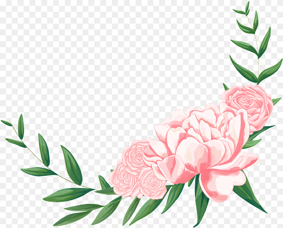 Hand Painted Fresh Notebook Foot Flower Common Peony, Carnation, Plant, Rose, Dahlia Free Transparent Png