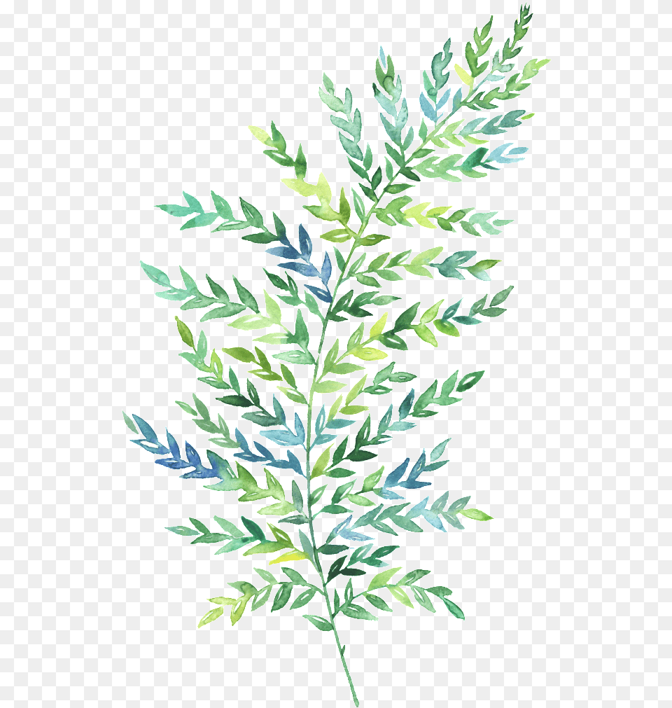Hand Painted Green Leaf, Plant, Art, Tree, Herbal Png Image