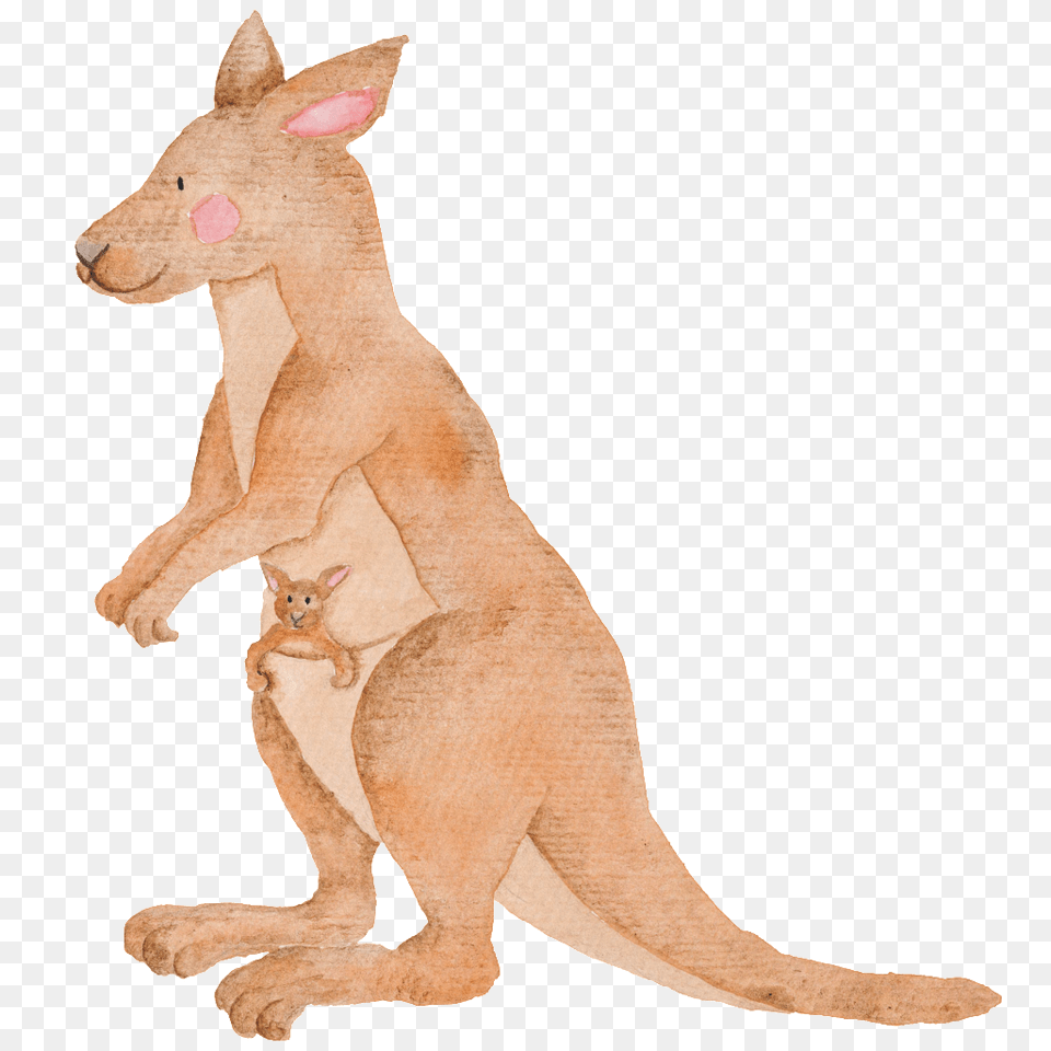 Hand Painted Kangaroo Animal Download, Mammal Png