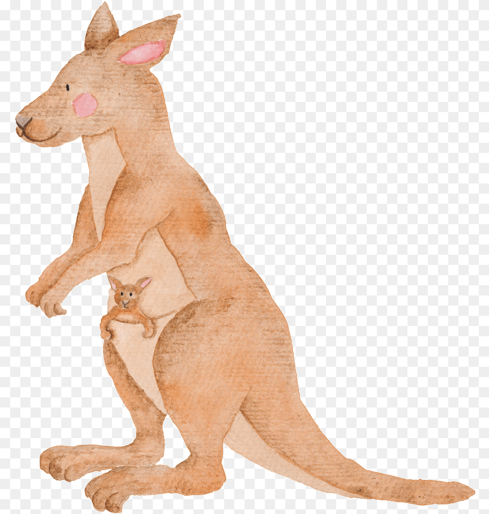 Hand Painted Kangaroo Australian Animals Watercolor, Animal, Mammal Png