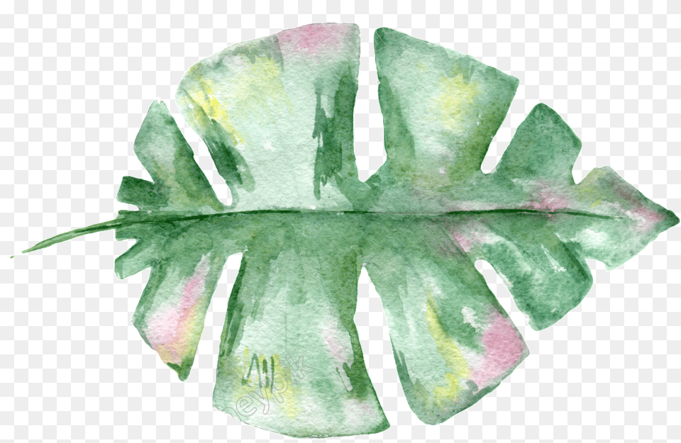 Hand Painted Leaf Material Watercolor Plant, Flower, Petal, Accessories, Jewelry Free Png Download