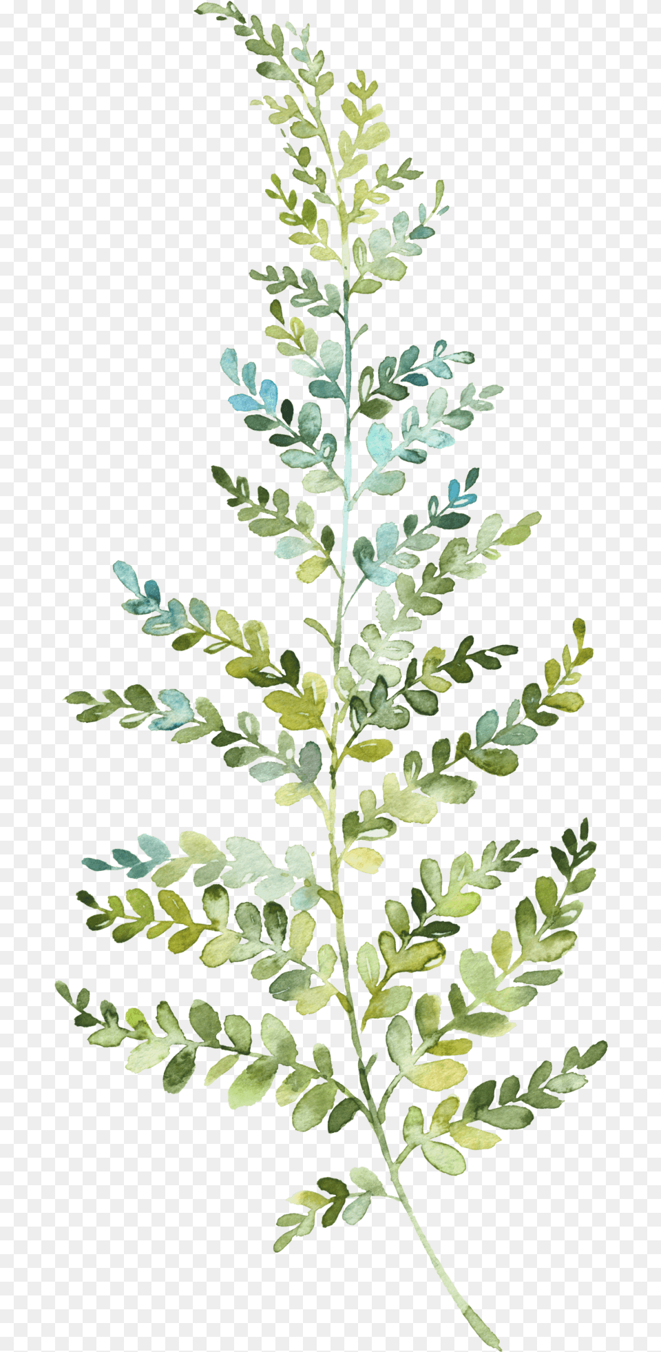 Hand Painted Leaf Wallpaper, Plant, Art, Pattern, Tree Png