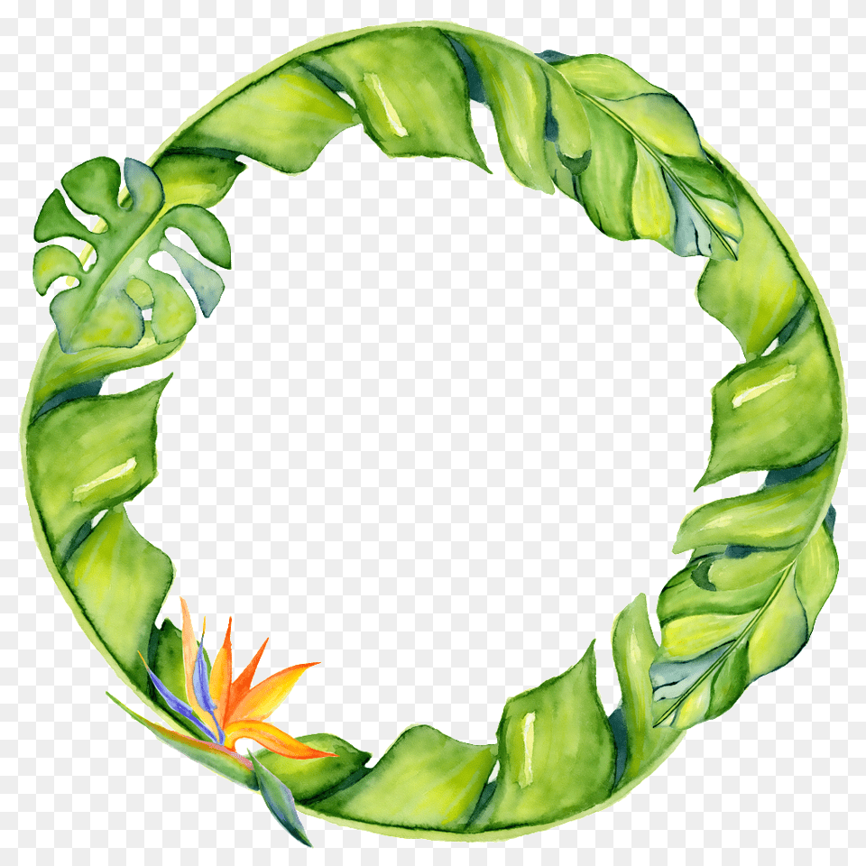 Hand Painted Linear Leaf Circle Transparent Free, Accessories, Bracelet, Jewelry Png