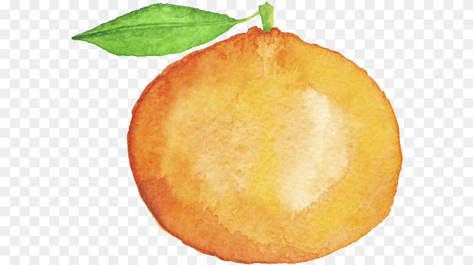 Hand Painted Orange Cartoon Fruit, Food, Plant, Produce, Citrus Fruit Free Png