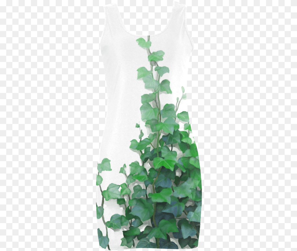 Hand Painted Original Watercolor Of Climbing Plant By The Sleeveless, Vine, Leaf Free Png Download