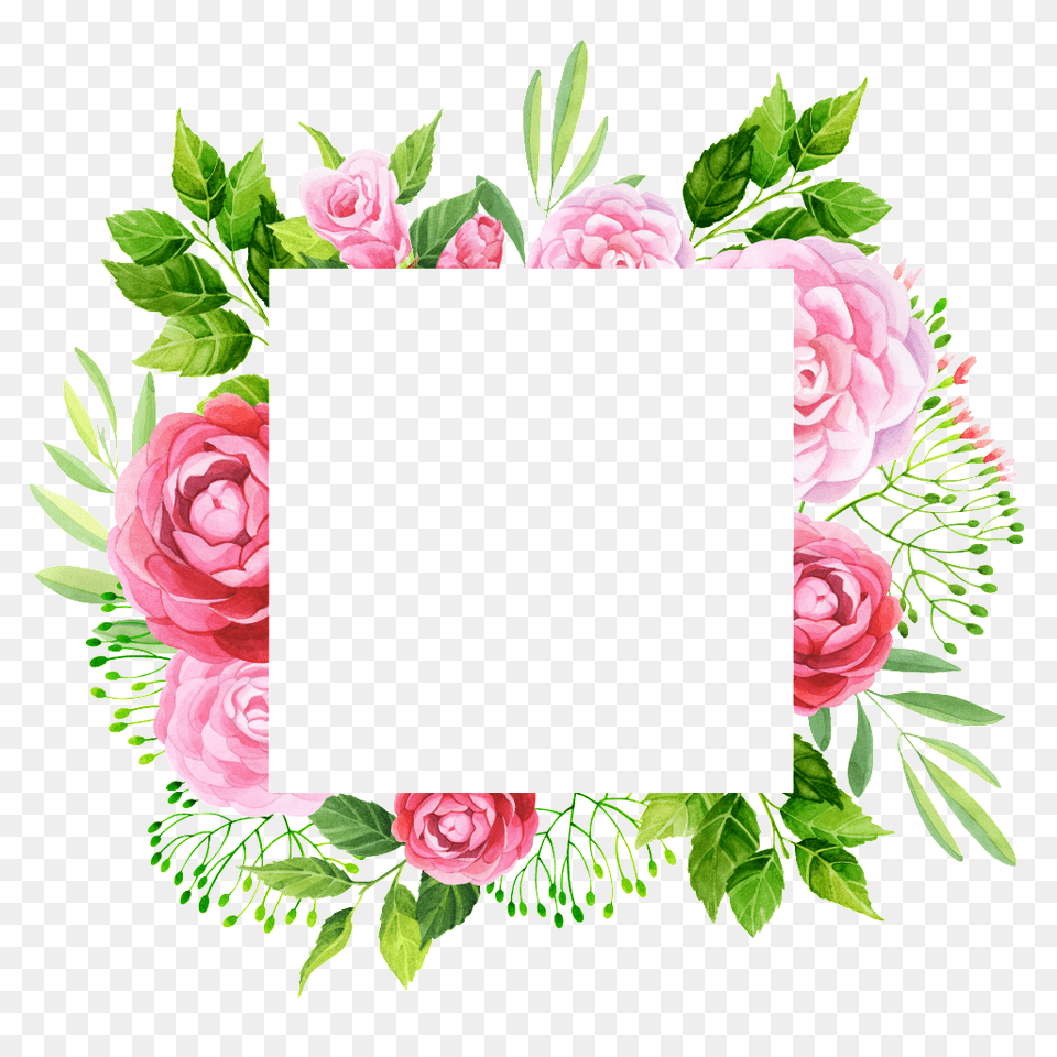 Hand Painted Peony Flower Frame Art, Plant, Pattern, Graphics Free Transparent Png