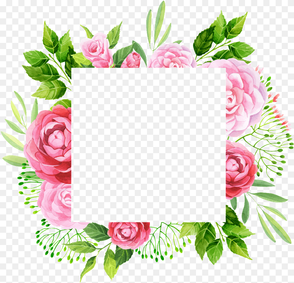 Hand Painted Peony Flower Frame Leaf Square Floral Frame, Art, Plant, Pattern, Graphics Free Transparent Png