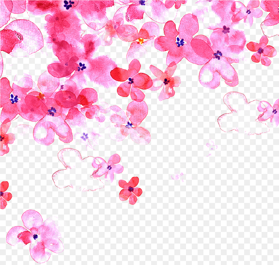 Hand Painted Pink Cherry Blossom Transparent Decorative, Flower, Petal, Plant, Art Free Png