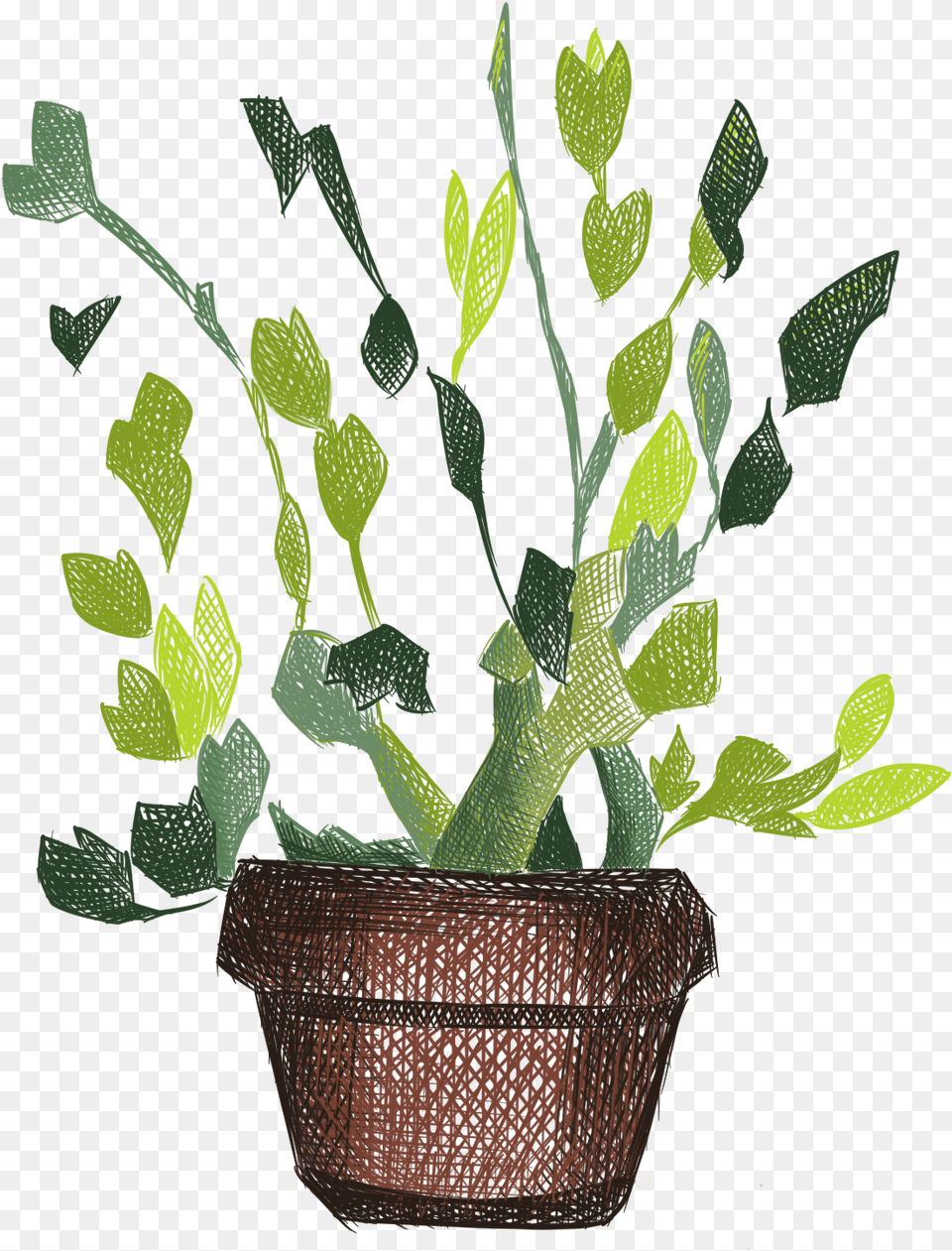 Hand Painted Plants Flowers Fresh Potted And Psd Hnh V Chu Cy, Leaf, Plant, Potted Plant, Flower Png Image
