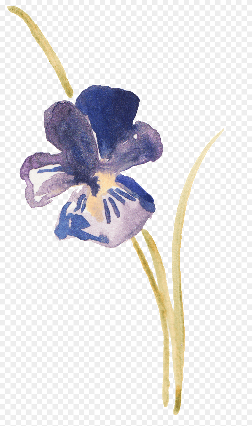 Hand Painted Platycodon Ink Painting Decorative Watercolor Violets, Flower, Plant, Petal, Acanthaceae Png Image