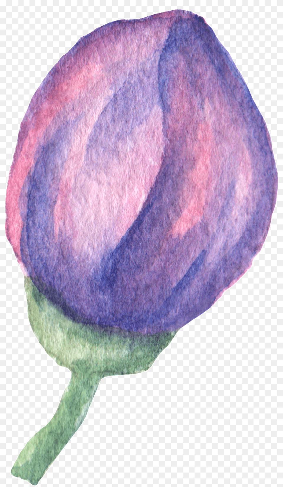 Hand Painted Purple Flowers Flowerbed Watercolor Transparent Watercolor Painting, Sprout, Plant, Petal, Hat Png Image