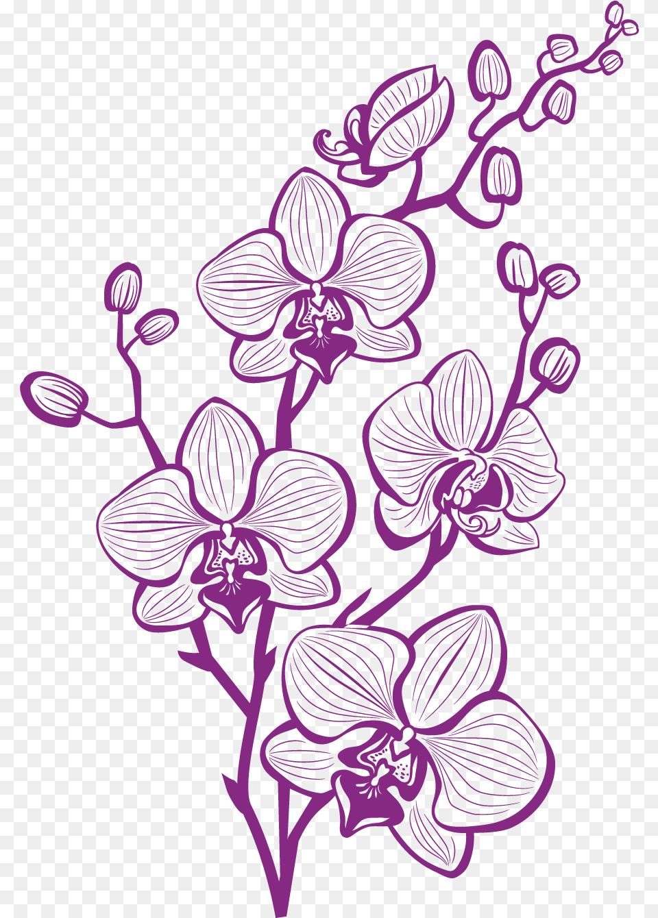 Hand Painted Purple Orchid Vector Purple Orchid, Flower, Pattern, Plant, Art Free Transparent Png