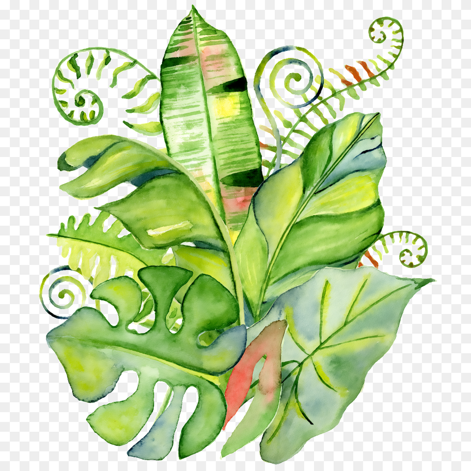 Hand Painted Realistic Tropical Leaves Transparent, Leaf, Plant, Vegetation, Art Free Png Download