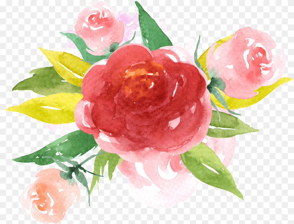 Hand Painted Red Rendering Flower Red Watercolor Roses, Plant, Rose, Petal, Art Free Png Download