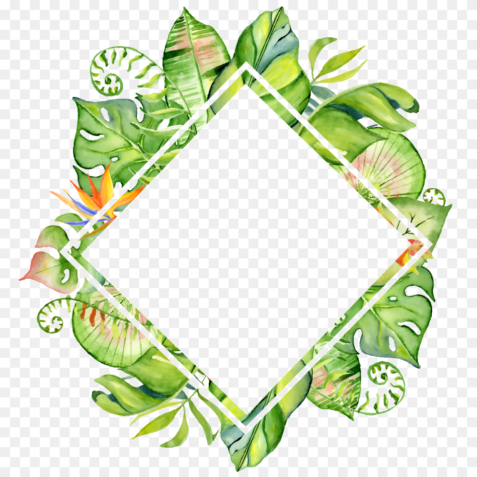 Hand Painted Rhomboid Leaf Frame Transparent, Green, Plant, Art, Floral Design Png