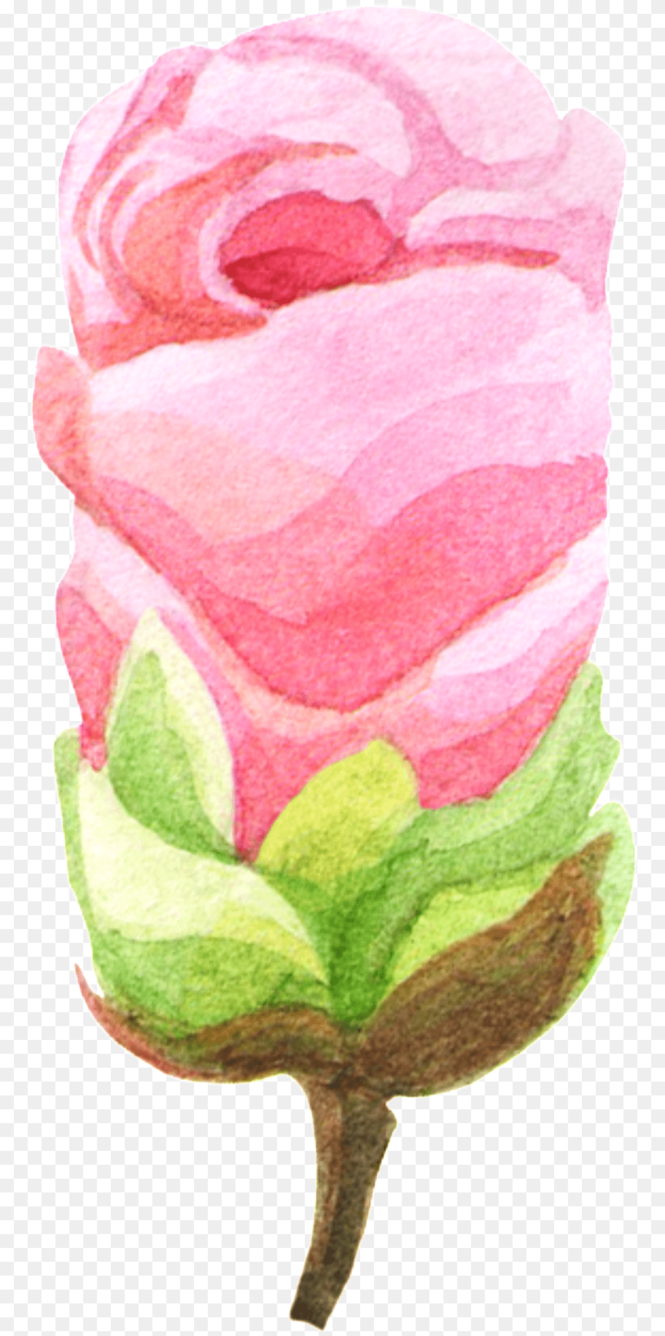 Hand Painted Rose Like Ice Cream Transparent Material Garden Roses, Flower, Petal, Plant, Bud Png Image