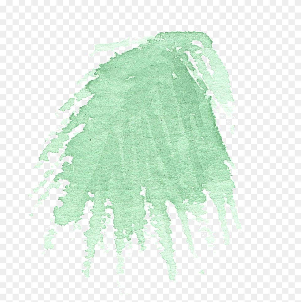 Hand Painted Simple Coniferous Leaves Watercolor Transparent Darkness, Art, Stain, Graphics, Powder Png Image