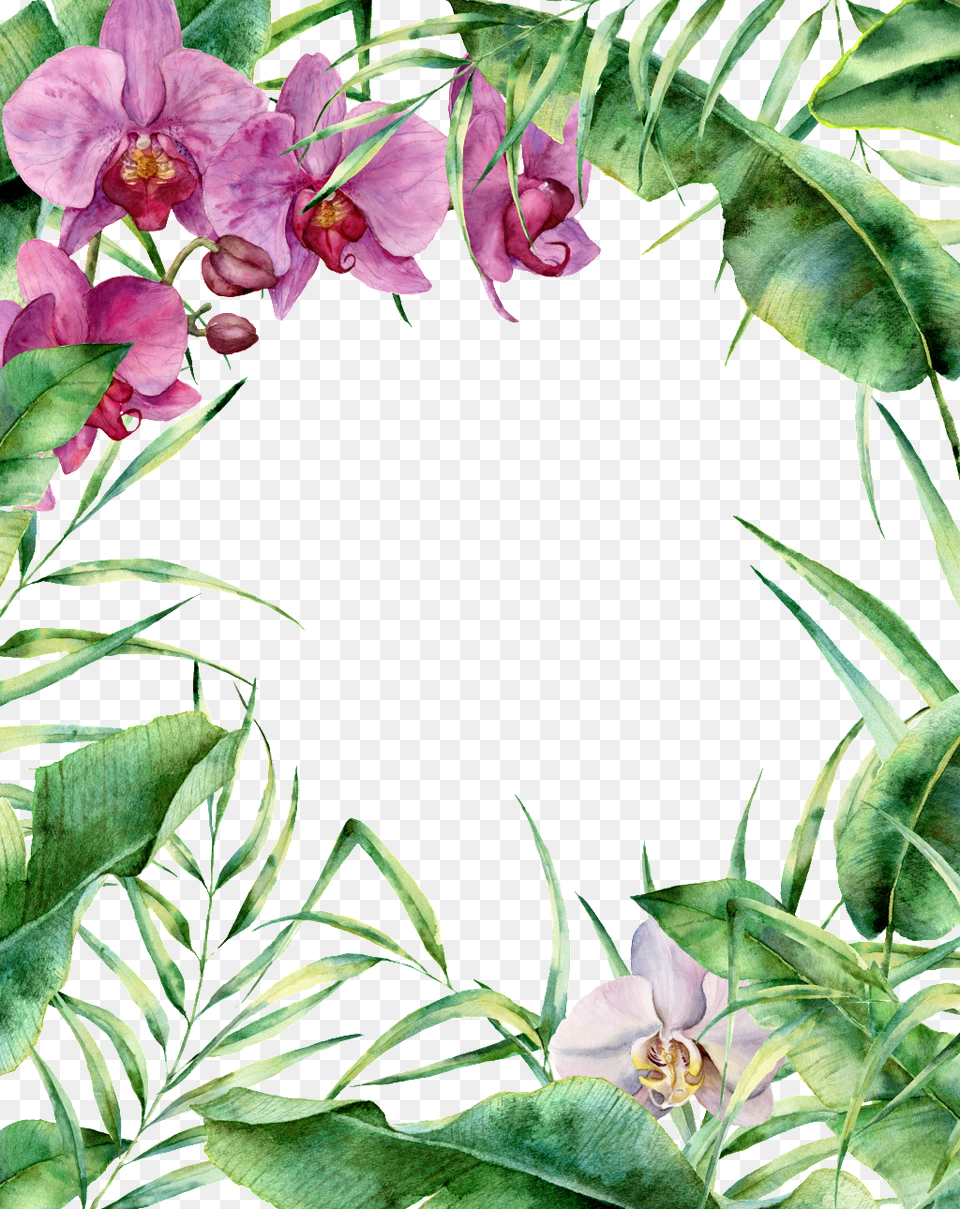 Hand Painted Simple Fresh Flowers And Plants Decorative Free Tropical Floral Border, Flower, Leaf, Plant, Vegetation Png Image