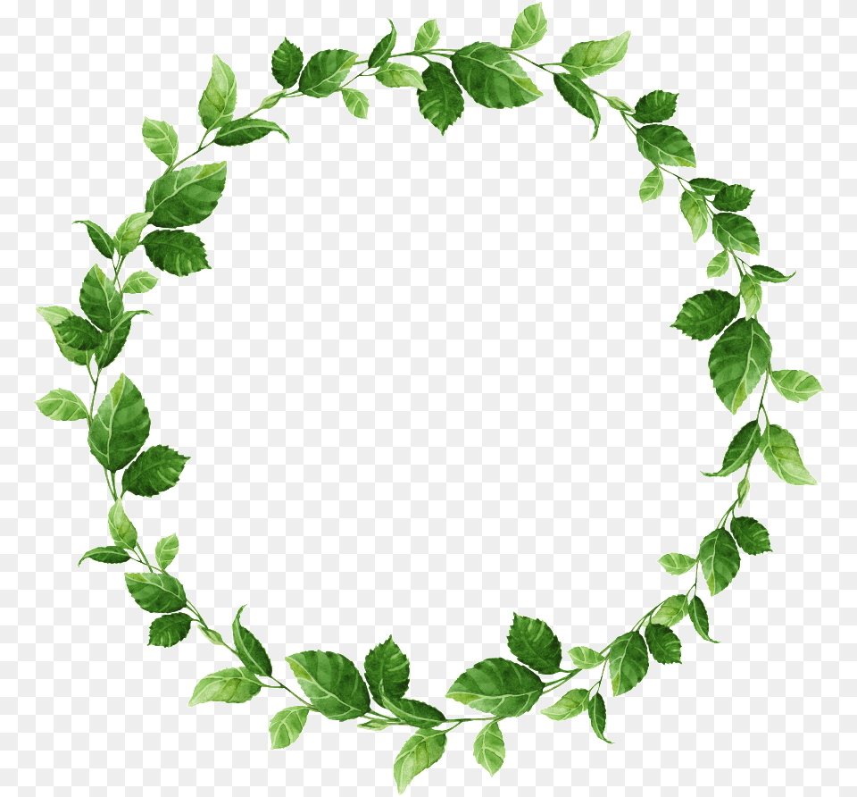 Hand Painted Small Leaf Circle Transparent Material Circulo De Folhas, Plant, Green Png Image